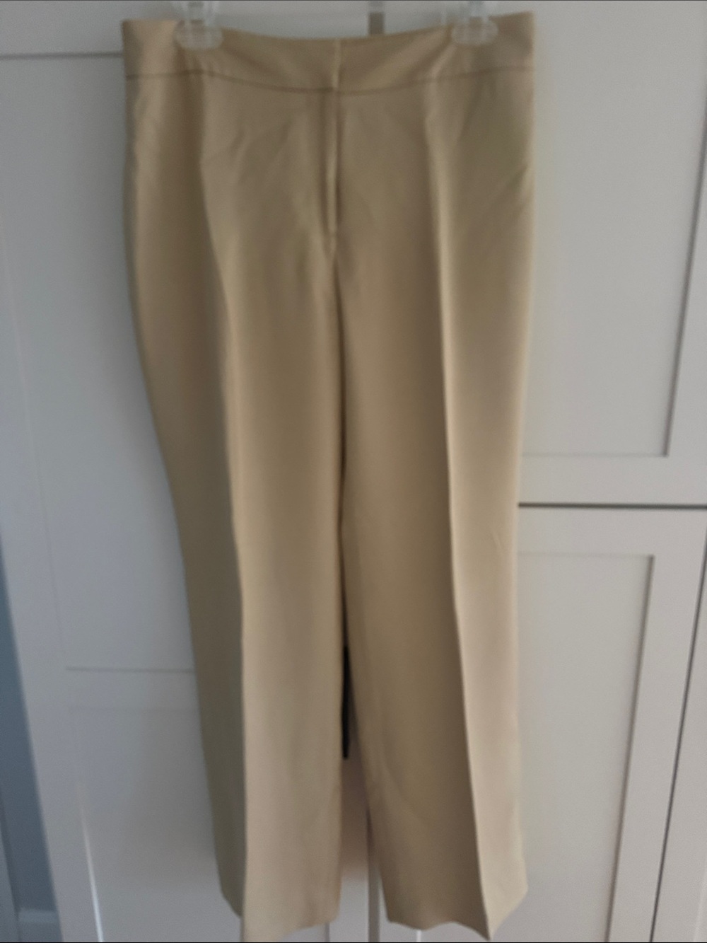Classic Ann Taylor Woman’s Tan Dress Pants